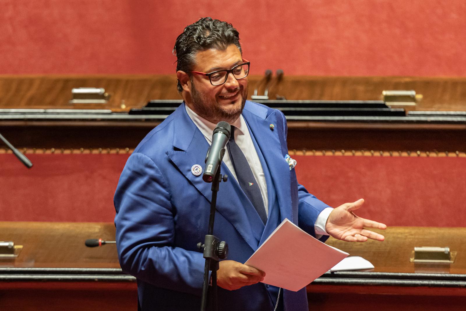 Alessandro Iovino interviene al Senato della Repubblica